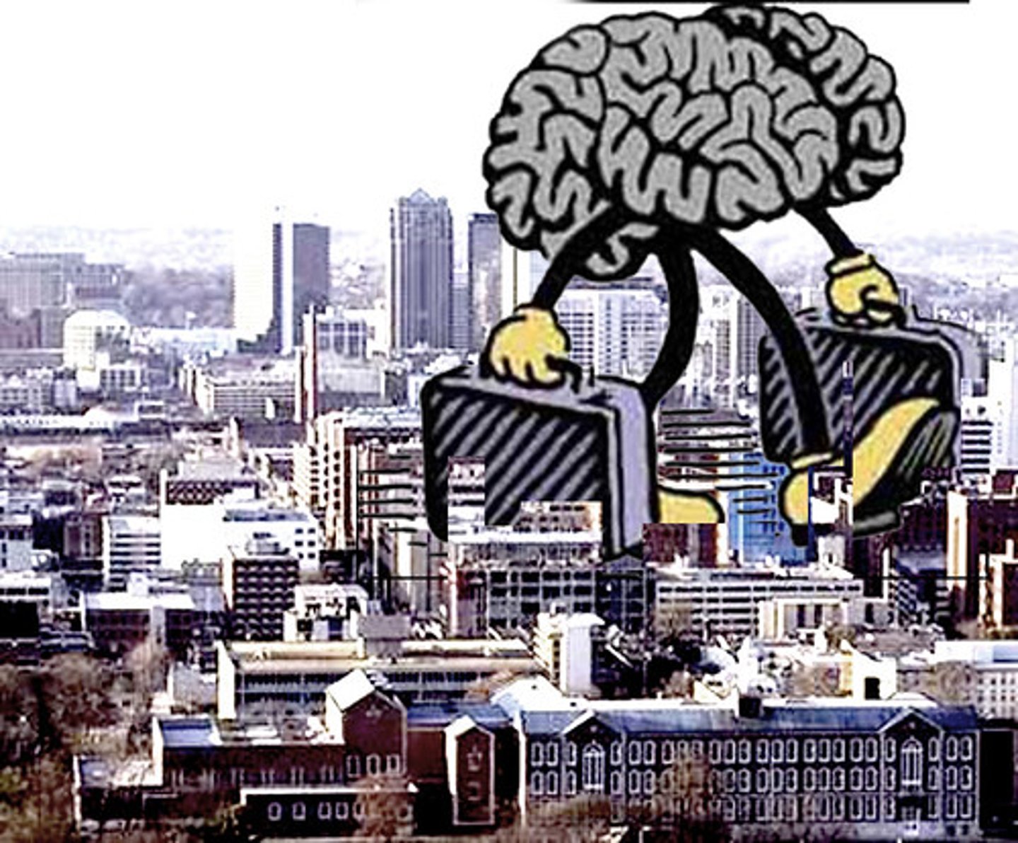 <p>when the majority of educated or skilled workers leave an area to pursue better opportunities elsewhere</p>