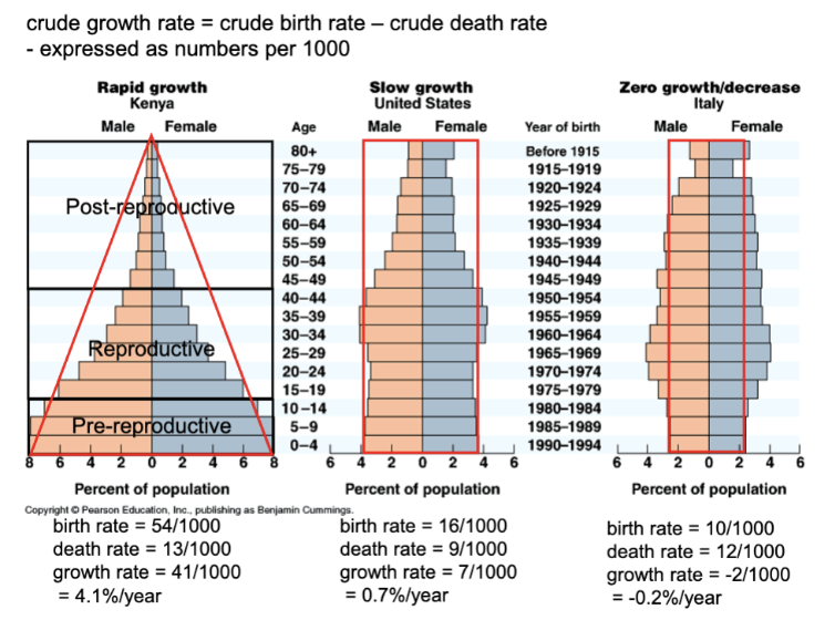 <p>which is the relative number of individuals at each age</p>