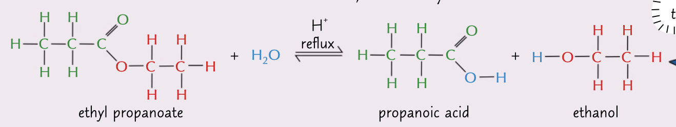 <p>reversible reaction which spilts an ester into a carboxylic acid and an alcohol, due under reflux and requires lots of water to push the equilibrium to the right</p>