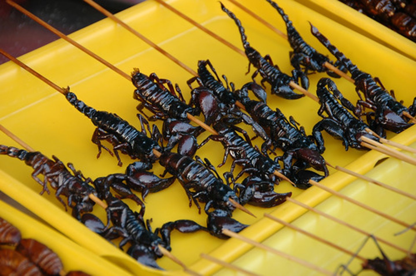 <p>something especially rare or expensive that is good to eat</p>