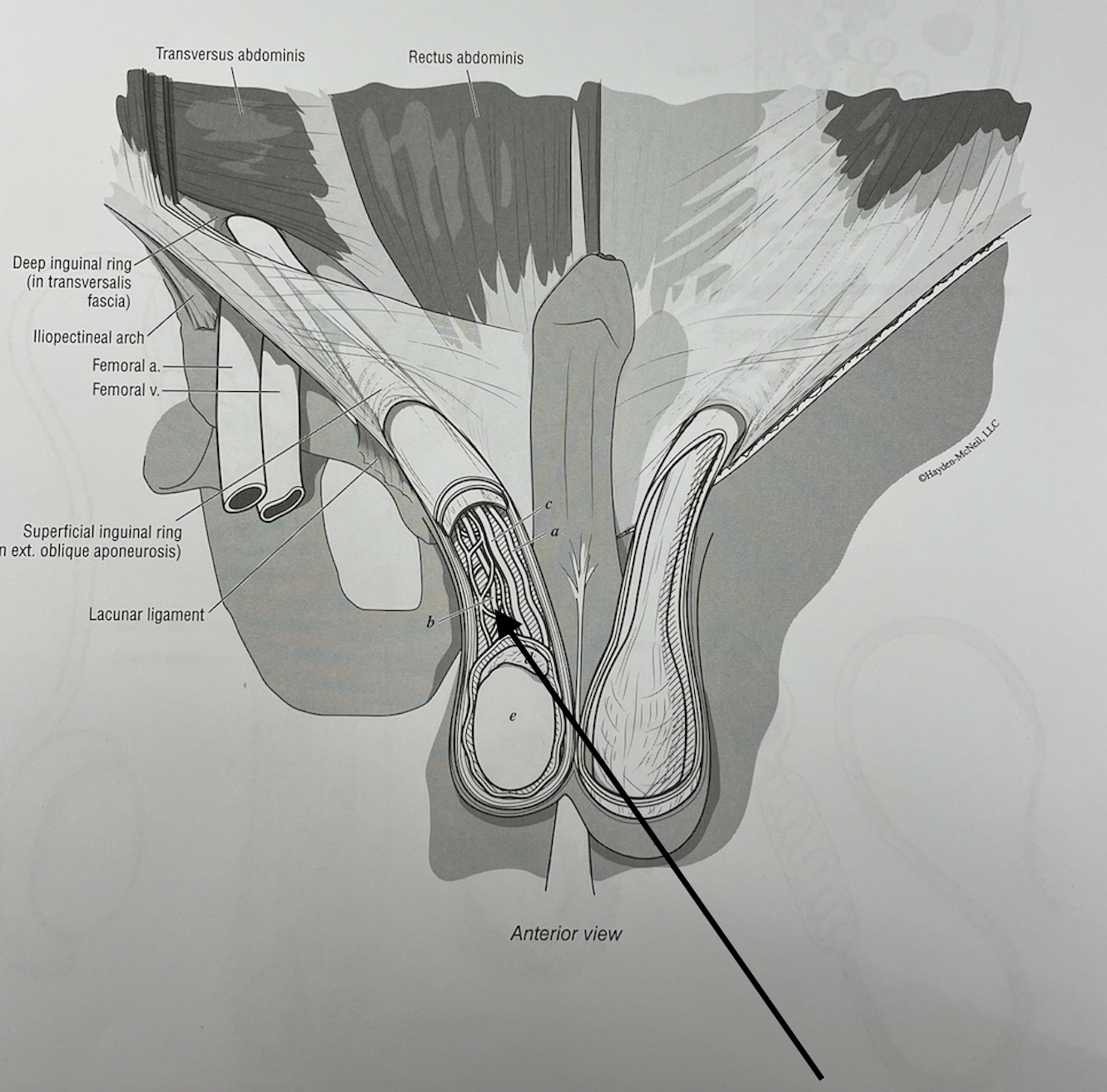 <p>what structure is this</p>