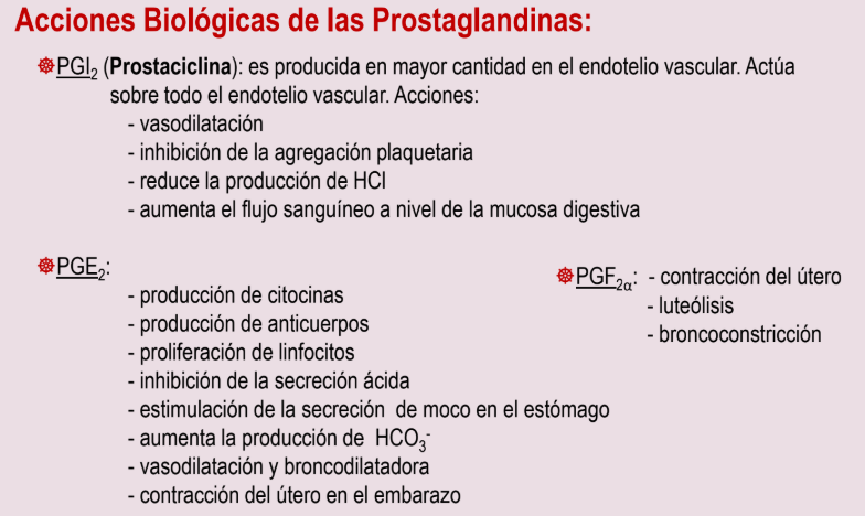 <p>Mediadores activos agonistas del musculo liso, que ejercen acciones en distintos sitemas como aparao digestivo, riñon, utero. sistema cardiovascular, etc.</p>