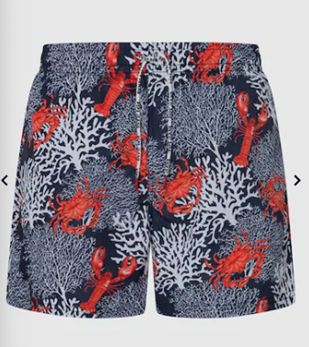 <p>swimming trunks</p>