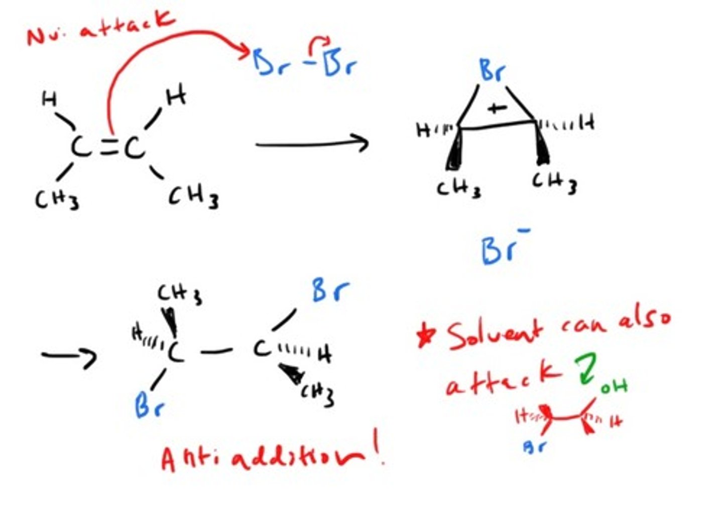 <p>Anti/trans/mark - bromonium</p><p>Alkene + X2 (halogen) --&gt; alkanes with halogen</p>