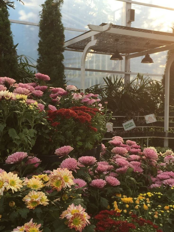 <p><em>Flower Garden.</em></p>