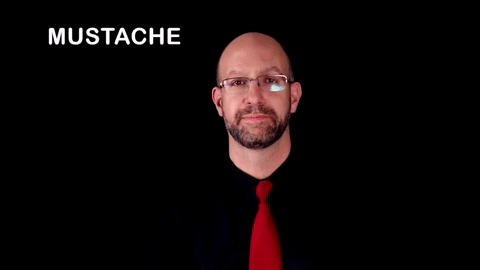 term image