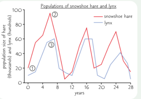 <p>Describe how the population of predators and prey are interlinked using this graph</p>