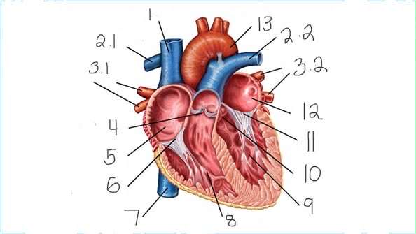 <p>2.2 - </p>
