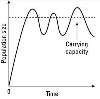 <p>If food becomes scarce or other conditions change, a population can experience fluctuations.</p><ul><li><p>Overshoot - When a population becomes larger than the environment’s carrying capacity.</p></li><li><p>Die-off - A rapid decline in a population due to death.</p></li></ul><p></p>
