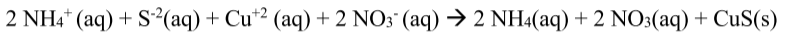 <p>A balanced equation with all soluble strong electrolytes shown as ions</p>