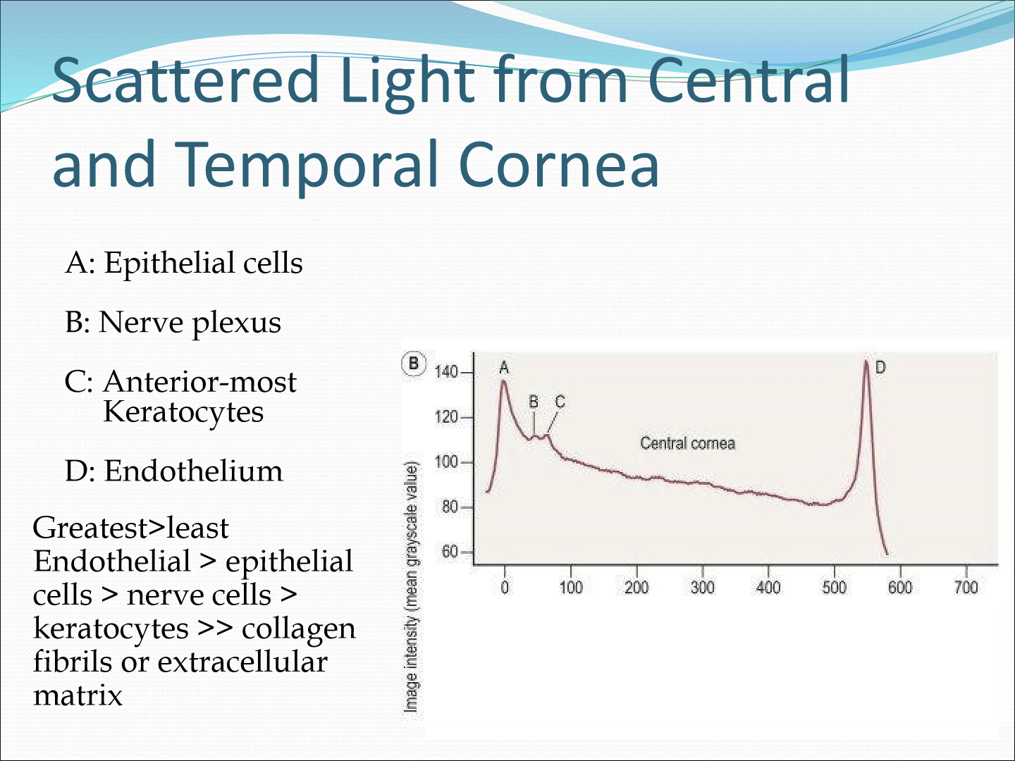 <p>Endothelial cells &gt; Epithelial cells &gt; Nerve cells &gt; Keratocytes &gt; &gt; Collagen fibrils or ECM</p>