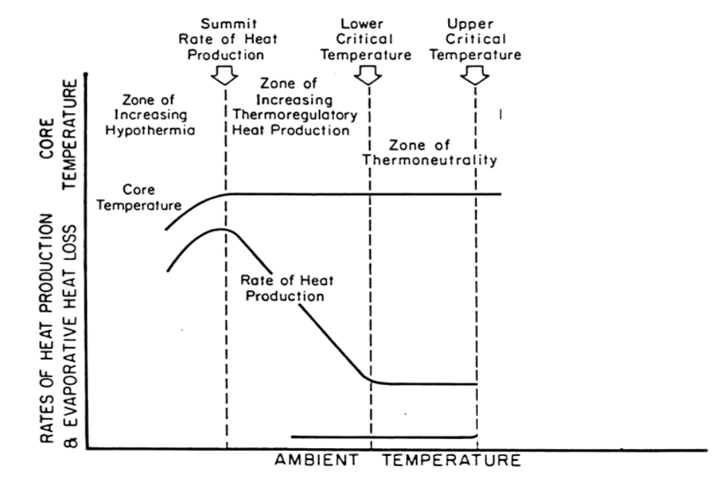 <p>heat production / promotion</p><ul><li><p>The <strong>summit rate of heat production</strong><span><span> (often referred to as summit metabolic rate, ) is the maximum amount of heat an endothermic animal can produce, typically measured during an experimentally induced cold challenge. It represents the highest possible rate of aerobic metabolism, which serves as a critical indicator of an individual's cold tolerance and thermogenic limits.</span></span></p></li></ul><p></p>