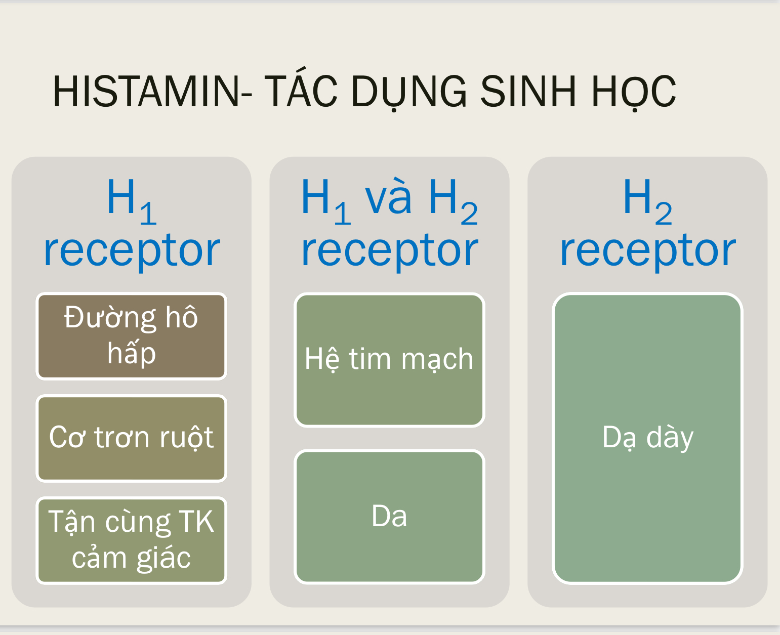 <p>Phân bố histamin ở những đâu</p>