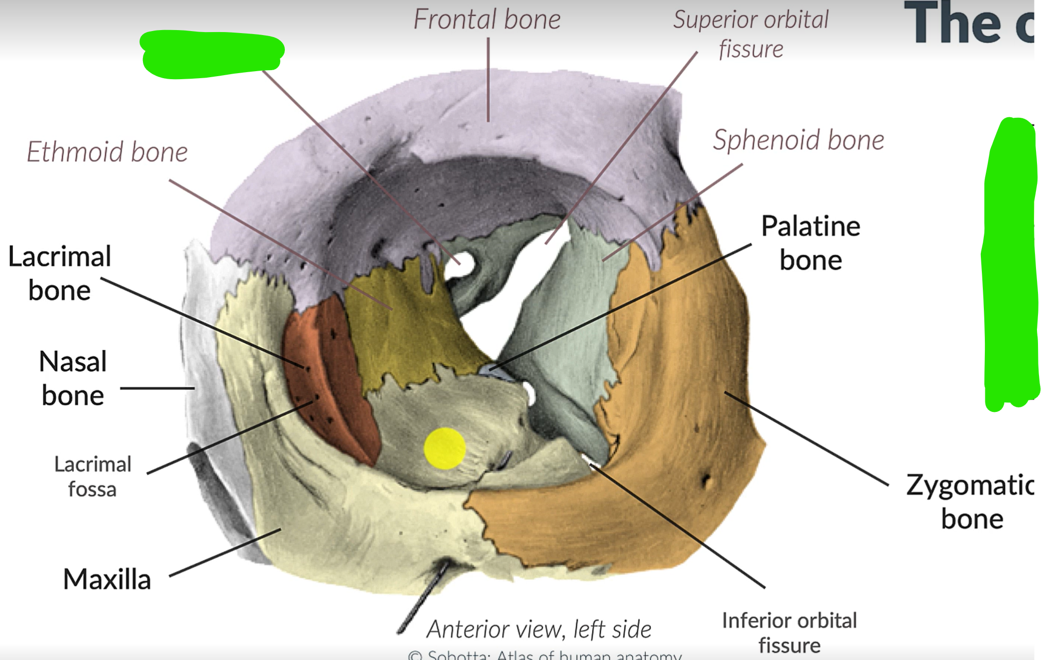 term image