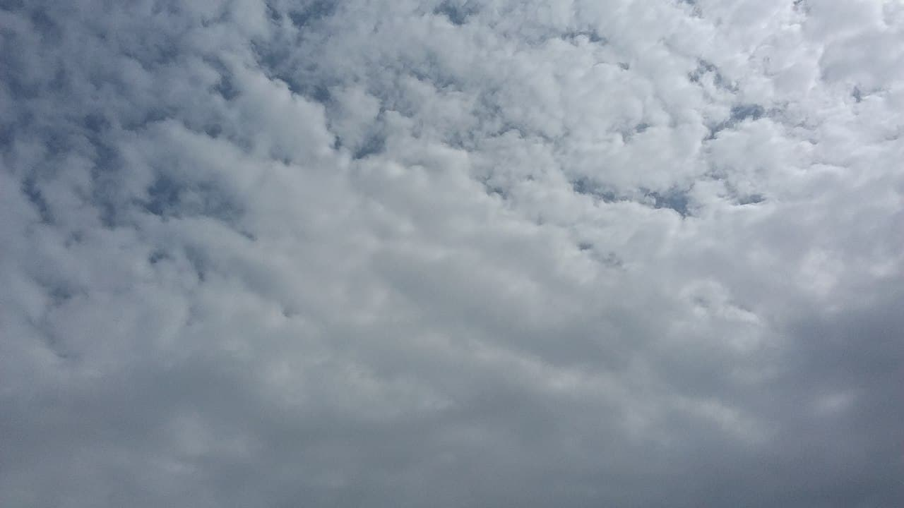 <p>low clouds, compact/dense, can be organised in stratocumulus cloud streets (stripes), very british</p><p></p>