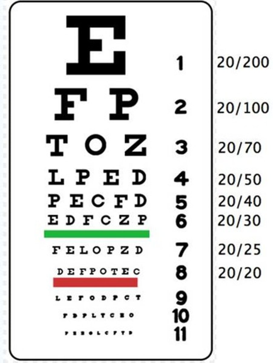 <p>Snellen eye chart</p>
