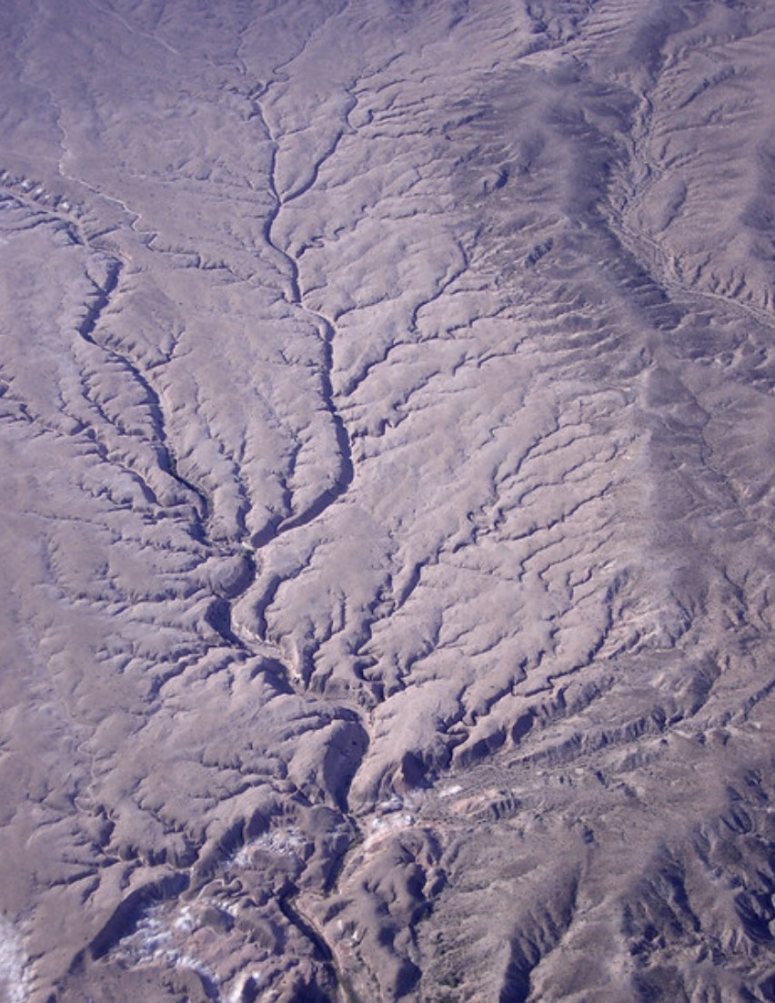Gullies organize into drainage basins