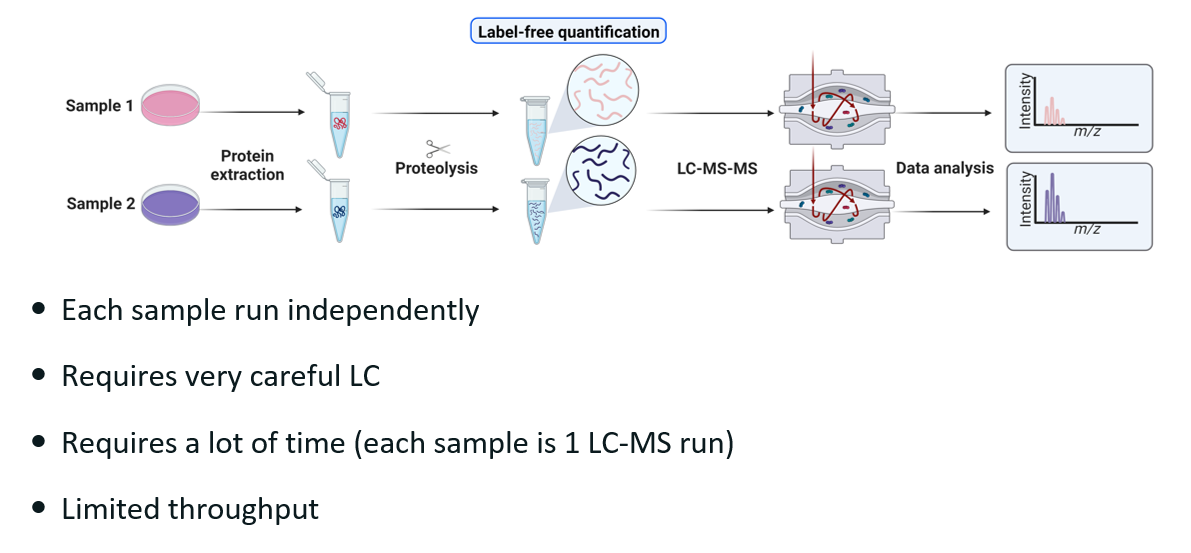 <p>In label free quantitation, we inject samples sequentially.</p><p><strong><u>Drawbacks</u></strong>:</p><ul><li><p>If we are comparing two samples, then we have two mass spec run instead of one. However, in practice, there are usually many samples. This usually means that a compromise has to be made on how long each mass spec run can be, which in turn decrease the amount of peptide we can identify in each run —&gt; <span style="color: red"><strong>limited throughput</strong></span>.</p></li><li><p>There can be <span style="color: red"><strong>contamination between each sample loading</strong></span>. This can be mitigated by running very careful liquid chromatography and by randomising the loading so that each sample has the same bias.</p></li></ul><p></p>