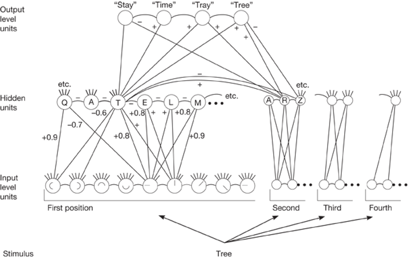 <p>Connectionism</p><p>____________________ - <span><strong>Moreso represents nonconscious processes</strong></span></p><ul><li><p style="text-align: left"><strong>A stronger weight-&gt;&nbsp; +0.9 as it FITS the Q (excitatory)</strong></p></li></ul><p style="text-align: left"><span>Top-down knowledge&nbsp;can affect the “hidden units” stage, also affected by parallel processes. If you have ST_Y recognized, you will fill in the blanks– its likely a vowel for the word to make sense</span></p>