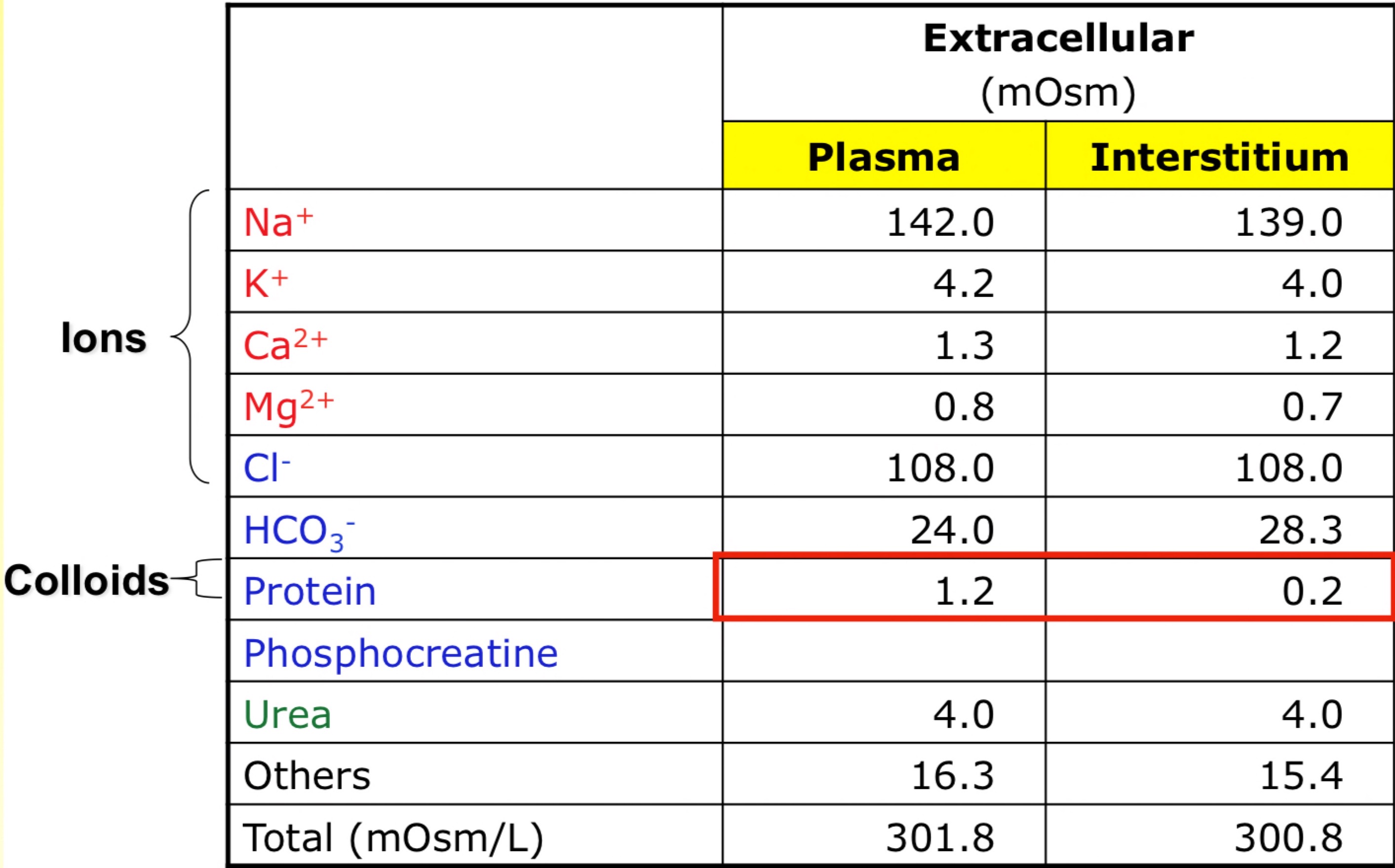 Very similar except from proteins 

Plasma 3 times more protein 