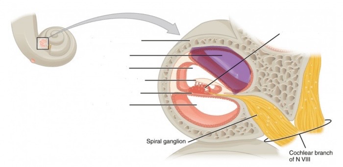 <p>What is this?</p>