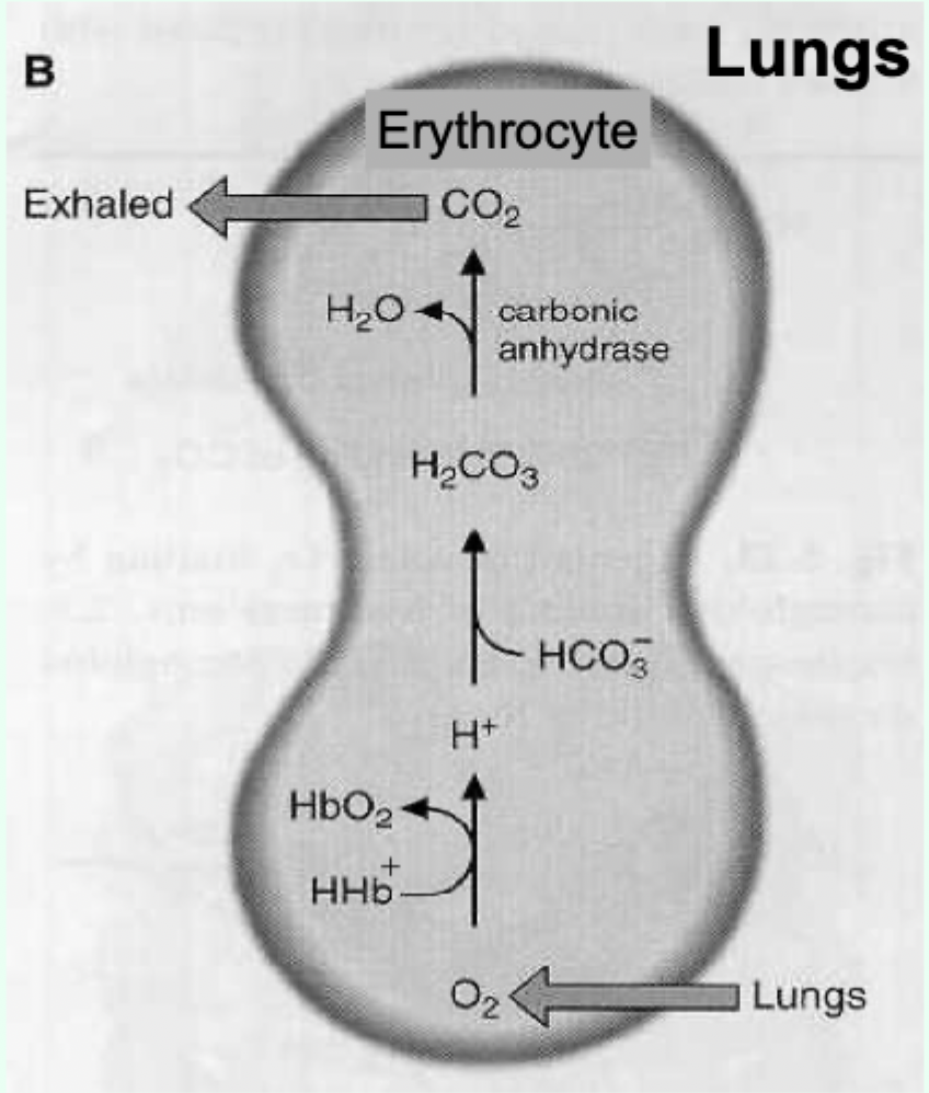 <p>Antagonistic.</p>