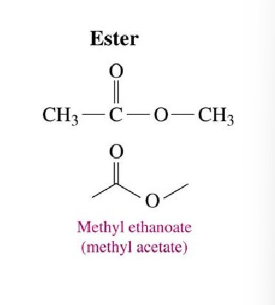 <ul><li><p>contain a carbonyl group bound to an -OR group</p></li><li><p>RCOOR</p></li></ul>