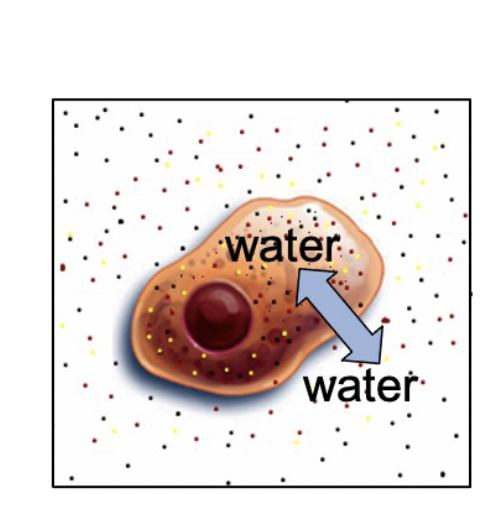 <p>Name the solution?</p>