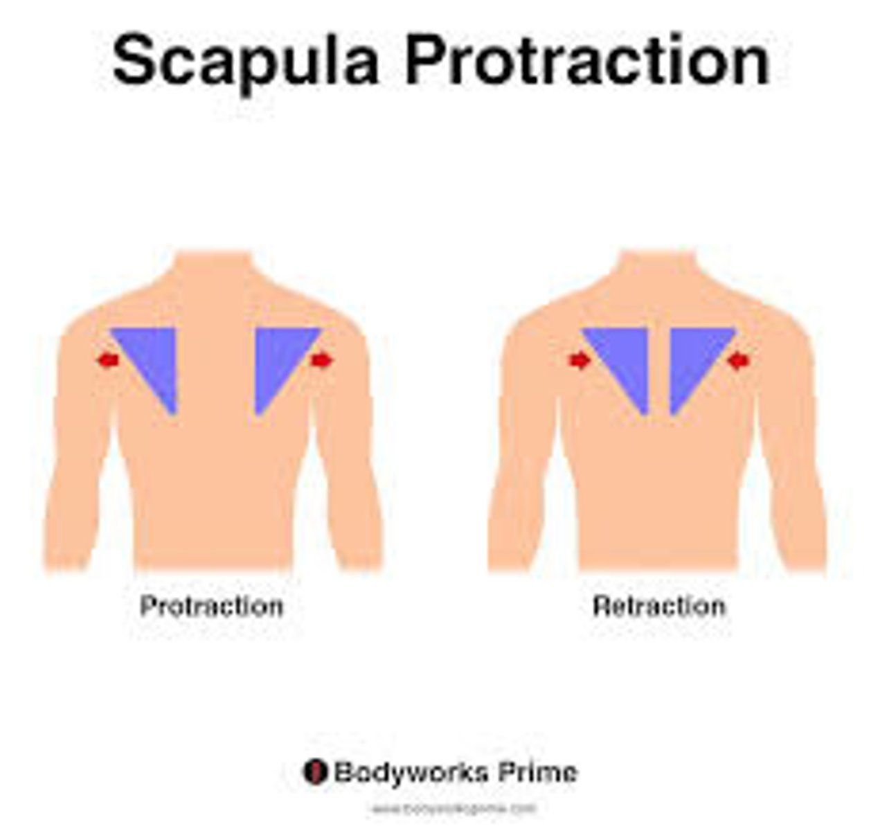 <p>Moving forward on a plane parallel to the ground</p><p>"punch"</p>