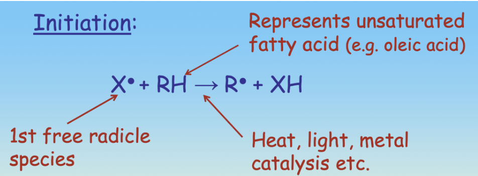 <p>Initiation: Heat, Light or a metal ion causes a Hydrogen to be removed from an unsaturated FA, creating a Lipid Free-radical (R). This process involves singlet oxygen.</p>