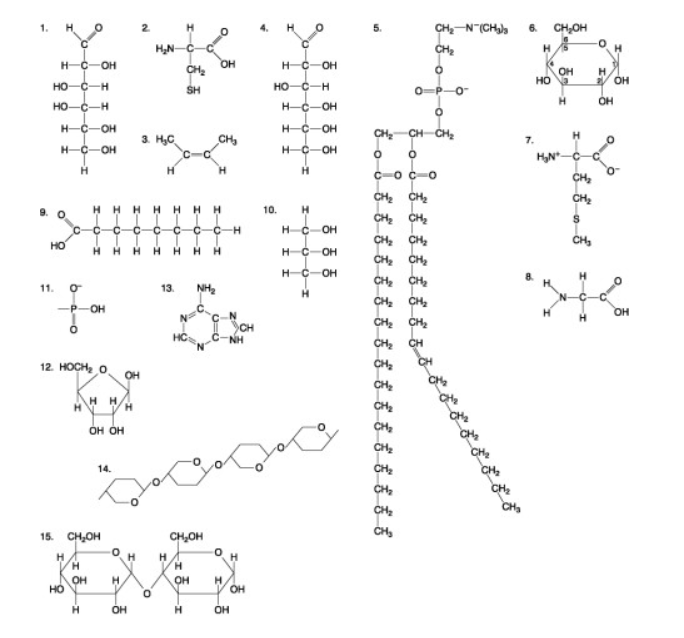 <p><span>The following question are based on the 15 molecules illustrated in the accompanying figure. Each molecule may be used once, more than once, or not at all.</span></p><ol><li><p>Molecule 1</p></li><li><p>Molecule 14</p></li><li><p>Molecule 5</p></li><li><p>Molecule 12</p></li></ol><p></p>
