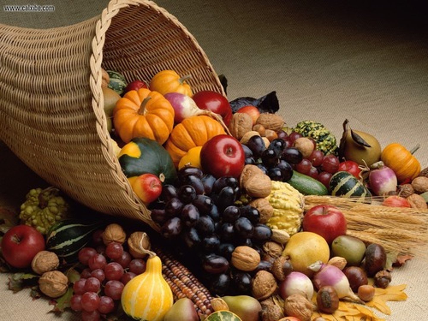 <p>large in quantity, abundant</p>