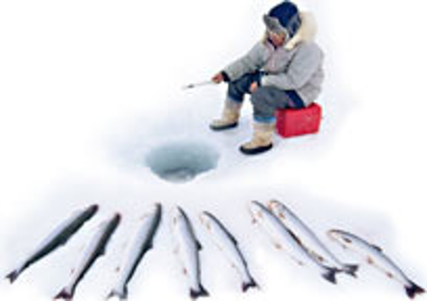 <p>to go fishing</p>
