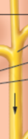 <p>what is this?</p>