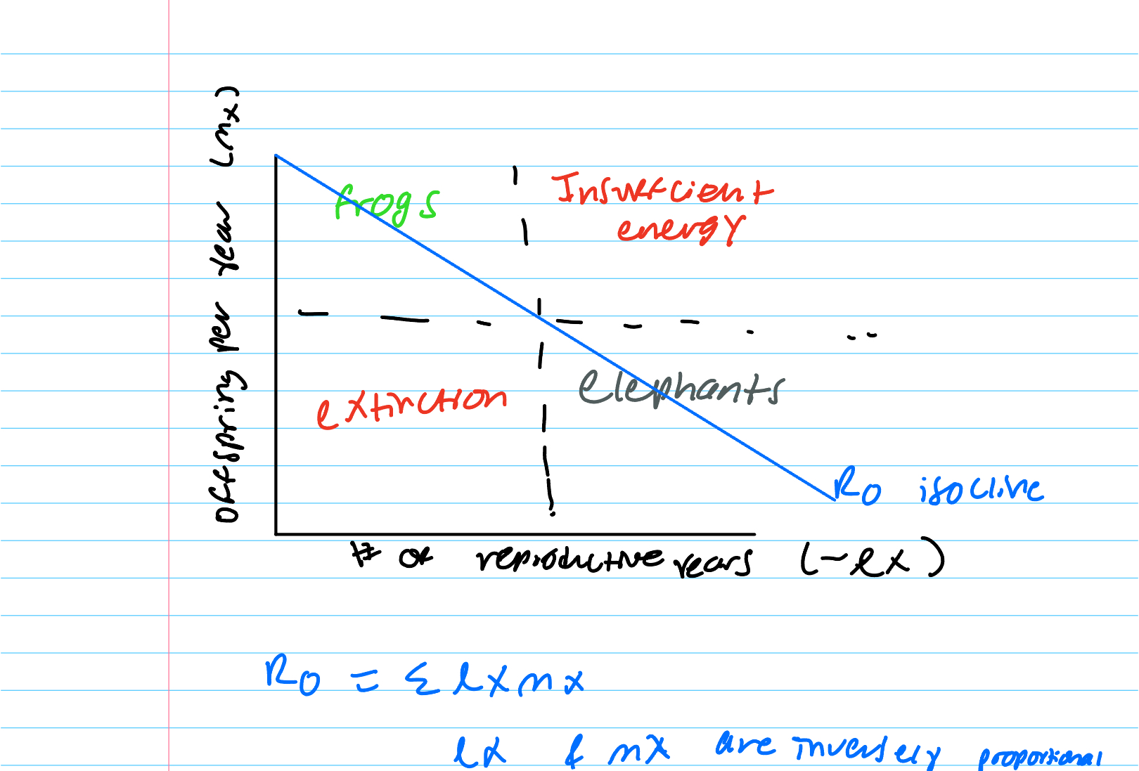 knowt flashcard image