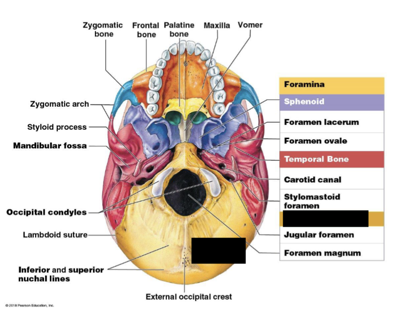 term image
