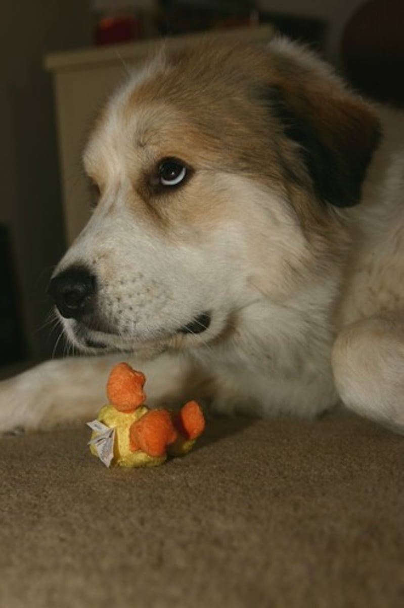 <p>guilty</p>