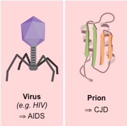 Non -cellular