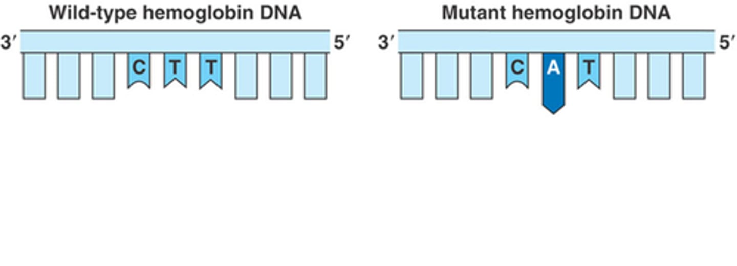 <p>A mutation in which only one or a few nucleotides or nitrogenous bases in a gene are changed; they occur at a single point in the DNA sequence and generally occur during replication.</p>