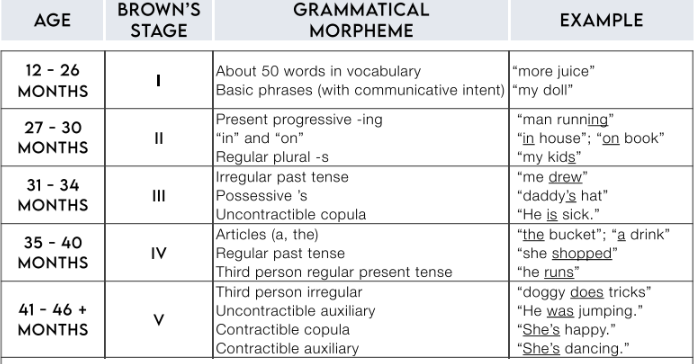 <ol><li><p>- 12 -26 months</p><ol><li><p>About 50 words in vocabulary </p></li><li><p>Basic Phrases (with communication intent)</p></li></ol></li><li><p>27-30 months</p><ol><li><p>Present progessive - ing </p></li><li><p>“in” and “on”</p></li><li><p>Regular plural -s</p></li></ol></li><li><p>31-34 months</p><ol><li><p>Irregular past tense</p></li><li><p>Possessive’s</p></li><li><p>Uncontractible copula</p></li></ol></li><li><p>35-40 months</p><ol><li><p> Articles (a, the)</p></li><li><p>Regular past tense</p></li><li><p>Third person regulars present tense</p></li></ol></li><li><p>41-46+ months</p><ol><li><p>Third person irregular</p></li><li><p>Uncontractible auxiliary</p></li><li><p>Contractible copula</p></li><li><p>Contractible auxiliary</p></li></ol></li></ol><p></p>