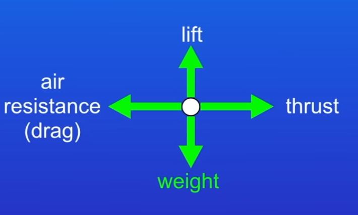 <ul><li><p>Lift = Force of the same magnitude as the weight but acting in the opposite direction </p></li></ul>