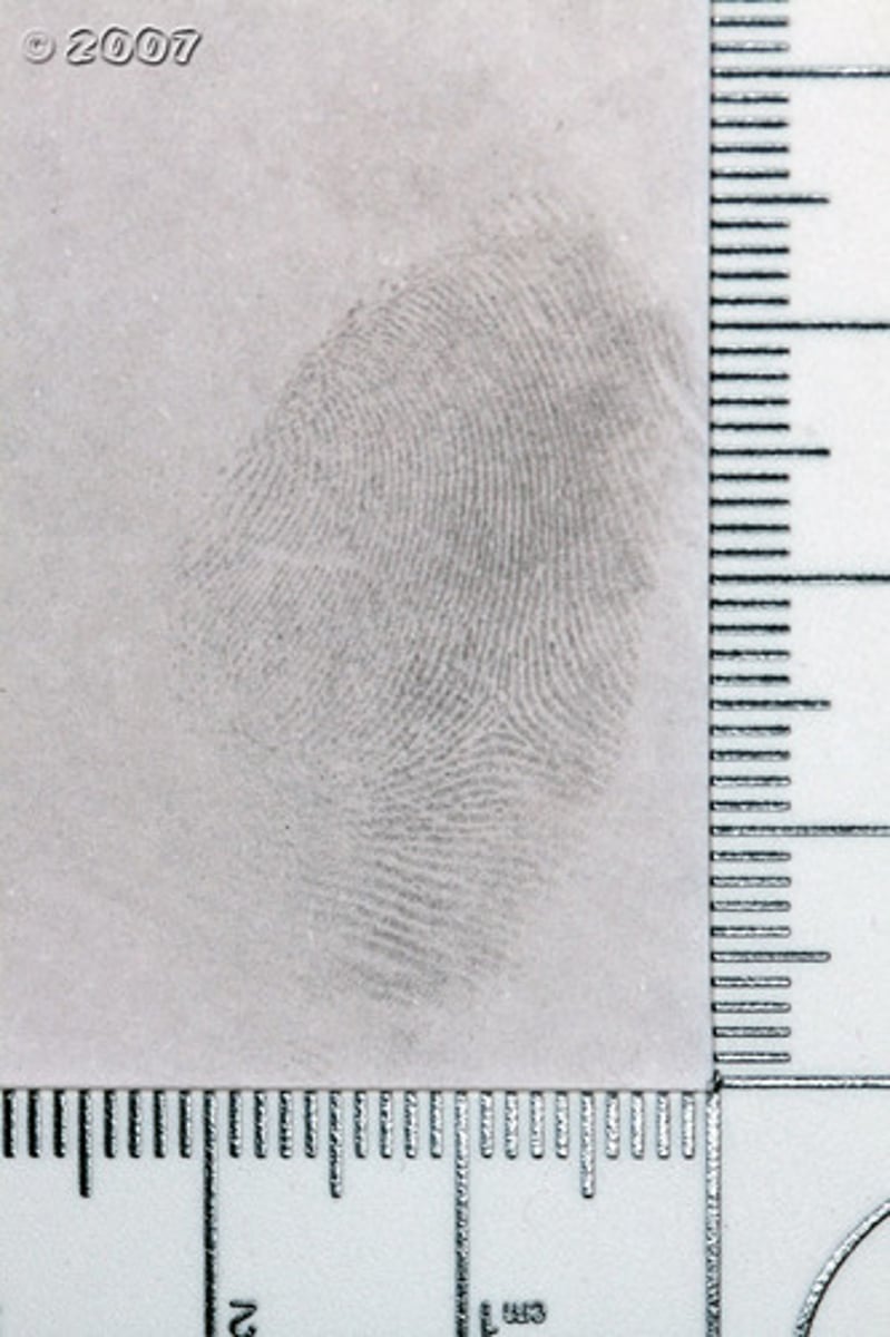 <p>(adj.) hidden, present but not realized</p><p>Synonyms: dormant</p><p>Antonyms: exposed</p>