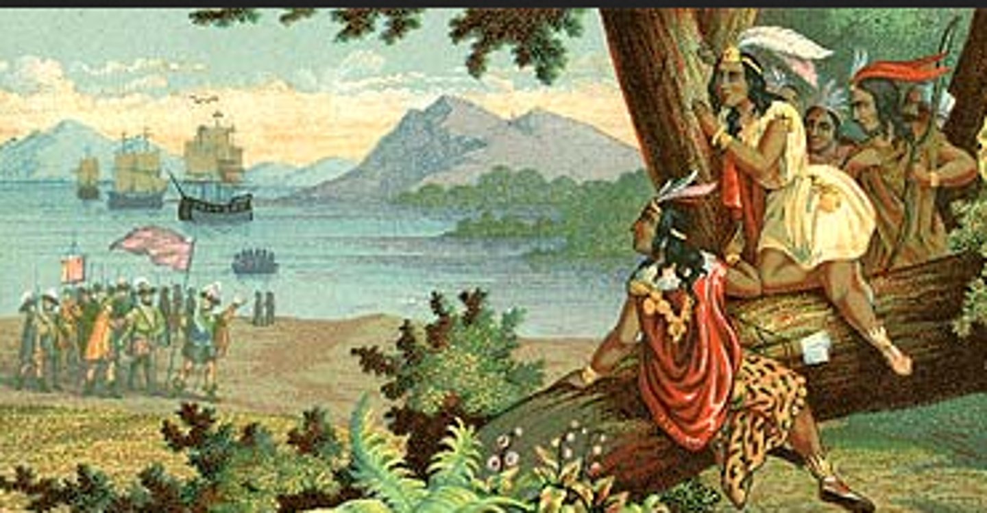 <p>bản địa</p>