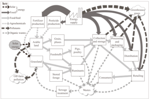 <p><span>what type of food production system might the diagram indicate?</span></p>