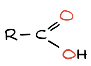 <p>What functional group is this?</p>