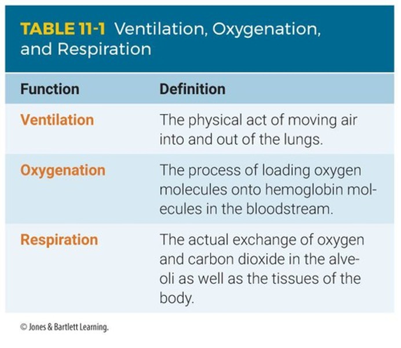 <p>Volume of air breathed per minute.</p>