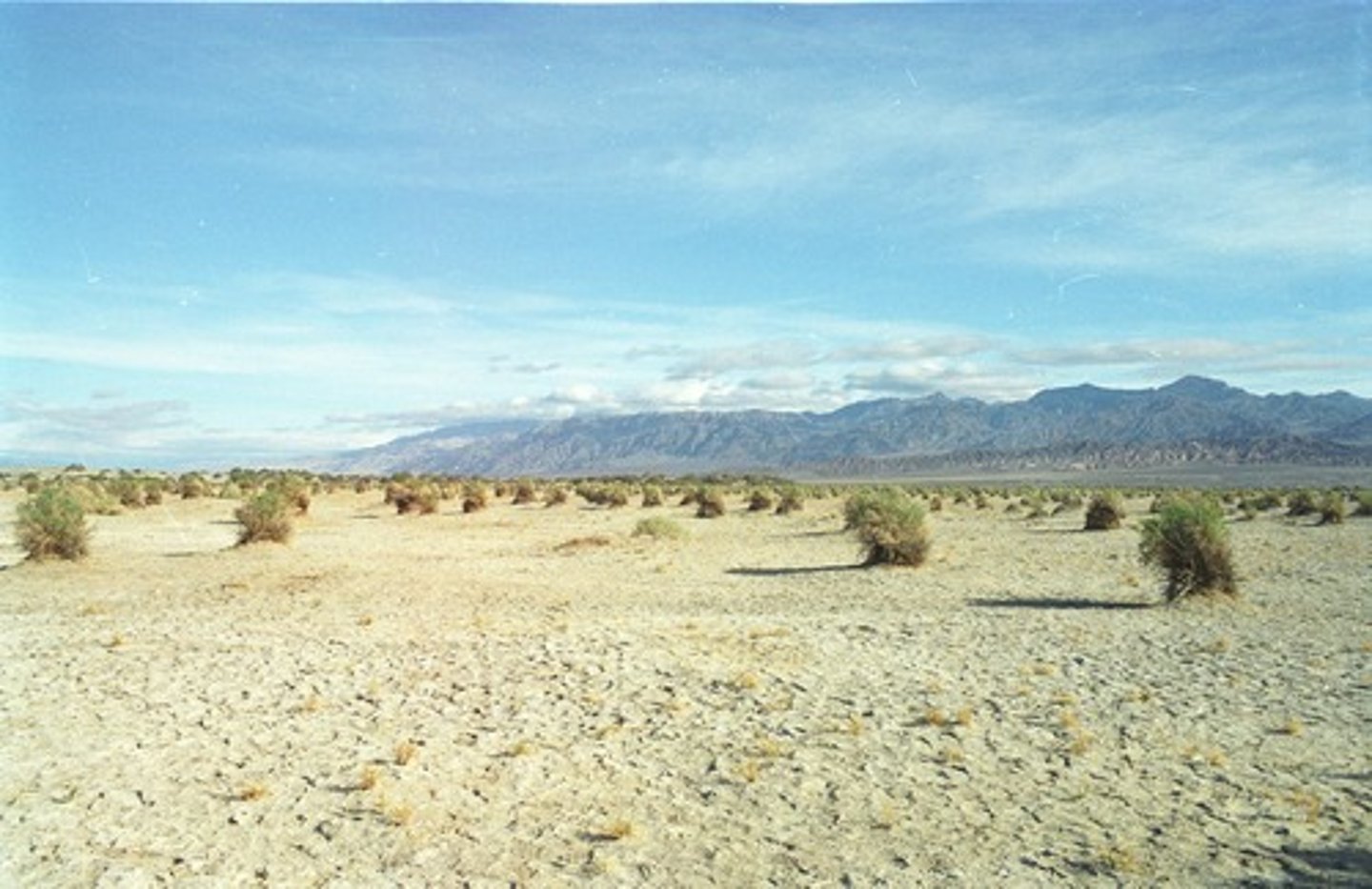 <p>Plants</p><p>Crevices</p><p>Undersides of rocks</p><p>Undersides of logs</p><p>Sediment</p>