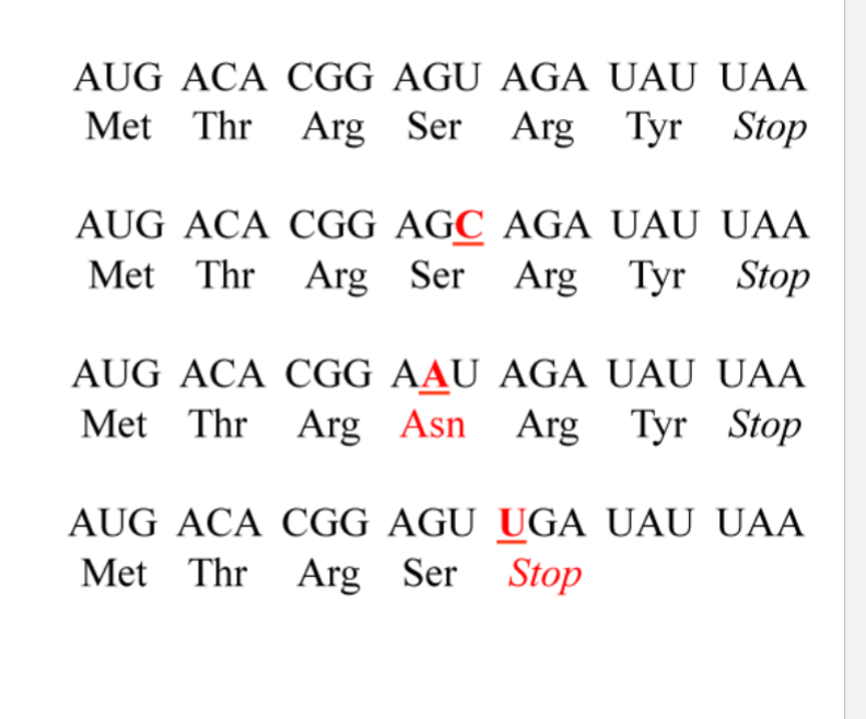 <p>what is the silent mutation&nbsp;</p>