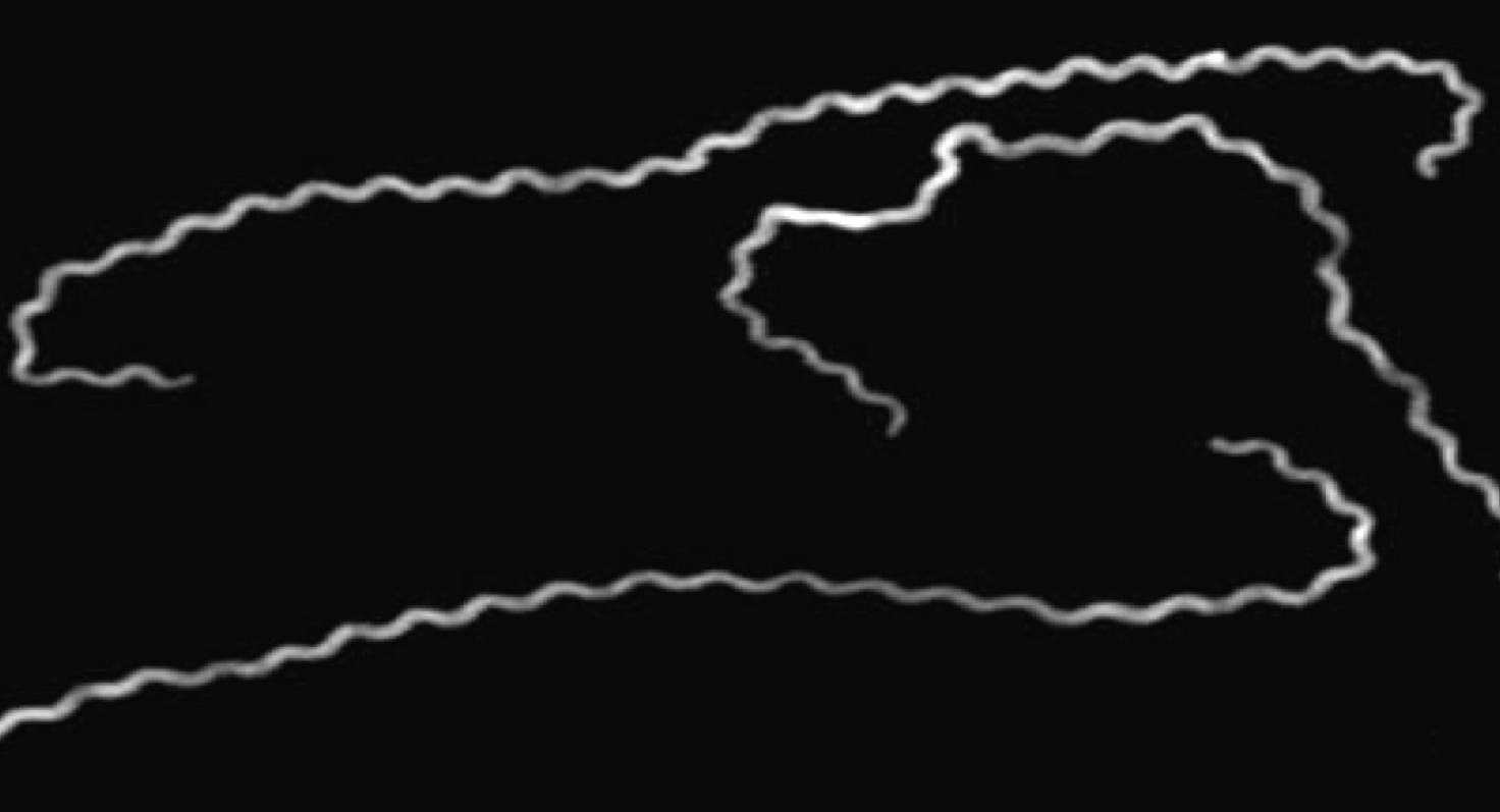 <p>What shape is this?</p>