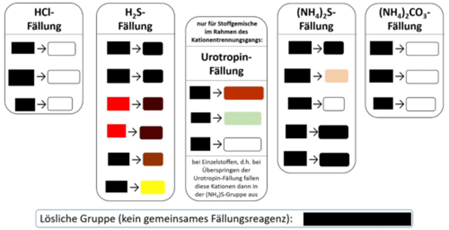 <p>H₂S-Fällung, schwarz-roter NS</p>